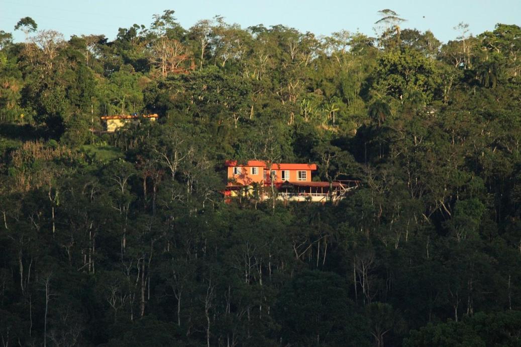 Hostal Tena Naui Dış mekan fotoğraf